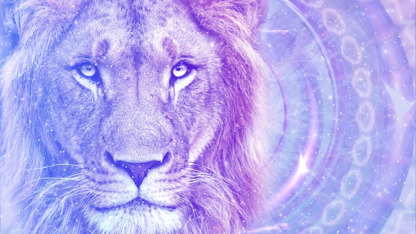 Lion on an Ethereal Portal Background Meditation Animation, Visualization, Video Royalty-Free Stock Footage #1106271597