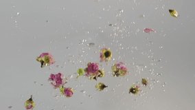 Pink rose flowers slowly fall into the water - Powered by Shutterstock - Get 15% off with code: PIKWIZARD15