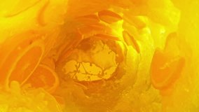 Super slow motion of mixing orange juice in twister shape. Filmed on high speed cinema camera, 1000 fps. - Powered by Shutterstock - Get 15% off with code: PIKWIZARD15