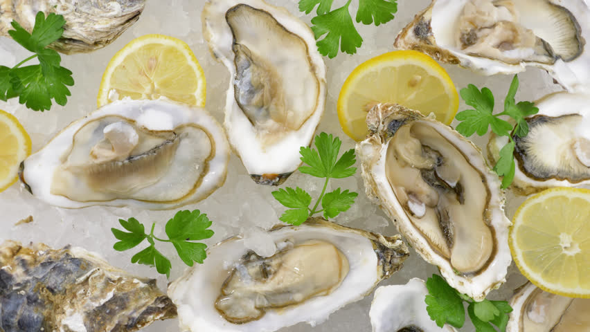 Fresh oysters in a dish with ice cubes and lemon, view from the top Royalty-Free Stock Footage #1106284271