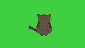 Cat animation isolated on green screen, Seamless loop 4k video, 3D Animation, Ultra High Definition, 4k video