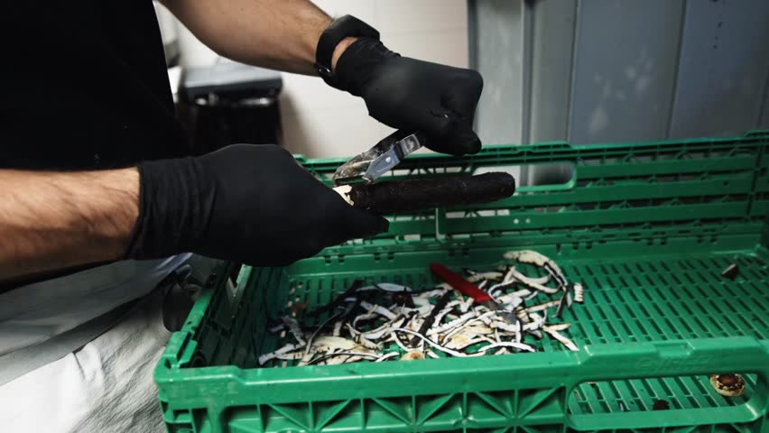 Slow Motion Close-Up of a Chef Peeling Black Salsify in Kitchen
