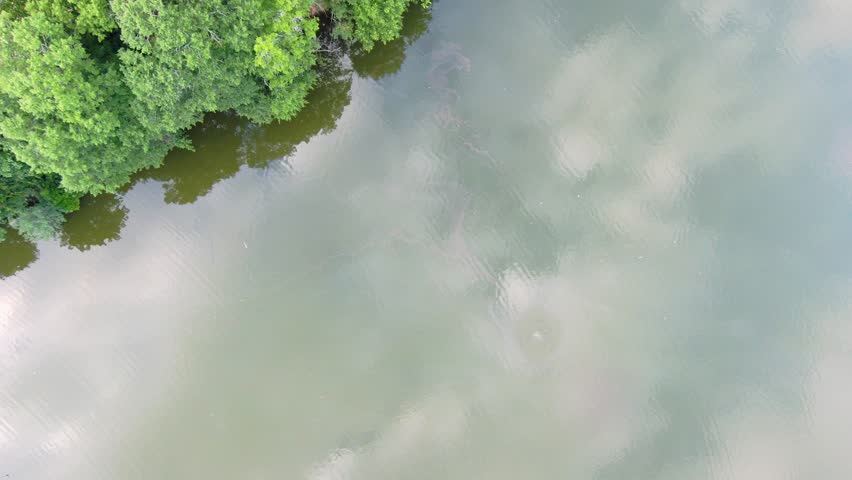 overhead aerial footage of Lake Clara Meer with rippling water, lush green trees, grass and plants and a pool at Piedmont Park in Atlanta Georgia USA