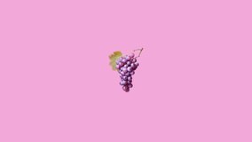 Stop motion Grape appear and disappear on pastel color background. High quality video 4K. Detailed stop motion video. Background or wallpaper in food and drinks videos.
