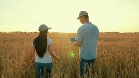 Two farmers shake hands with computer tablet, conclude contract in wheat field, sun. Work in team of business partners. Handshake of man of woman on field. Harvest, sale of grain Agricultural industry - Powered by Shutterstock - Get 15% off with code: PIKWIZARD15
