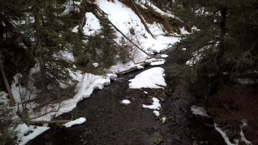 Aerial Tilt Down Shot Of River Flowing Through Canal Amidst Snow, Drone Ascending Over Trees In Forest During Winter - Billings, Montana