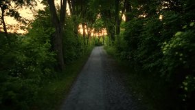 POV flying above vintage rural abandoned road in misty forest with ghost rumors. Mystic fairy mood, horror and scary atmosphere - Powered by Shutterstock - Get 15% off with code: PIKWIZARD15