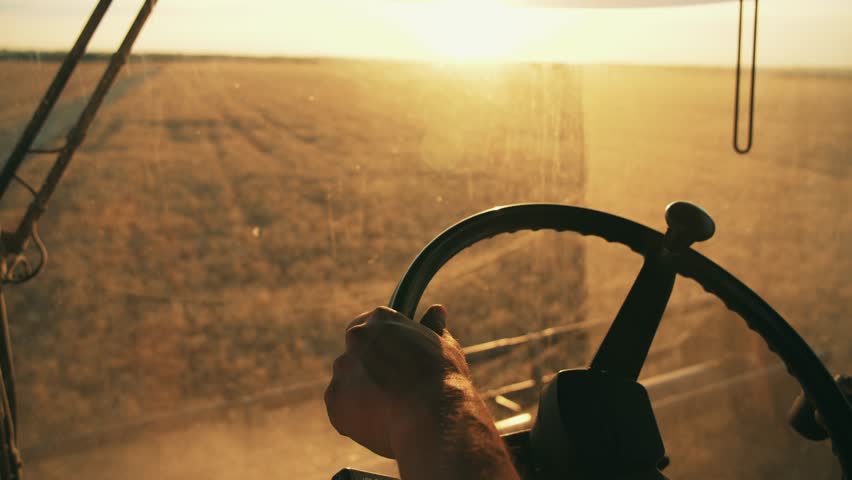 Food production industry, agricultural business. Man driving combine harvesting wheat on field in countryside. Work on farm, harvesting using modern agricultural machinery. View from combine cabin. Royalty-Free Stock Footage #1106328981