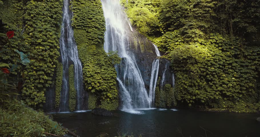 Shutterstock Video
