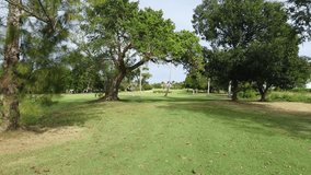 areal video clip of golf field cocotal bavaro punta cana dominican republic