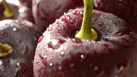 A group of dark cherries comes to life. The probe lens captures their luscious deep hues, revealing intricate textures, showcasing the allure and richness of these delicious fruits. Cherry background
