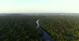 Morning Amazon Rainforest Panorama with Sunrise: Aerial View of Peaceful Rainforest and Greenery Under Clear Sky