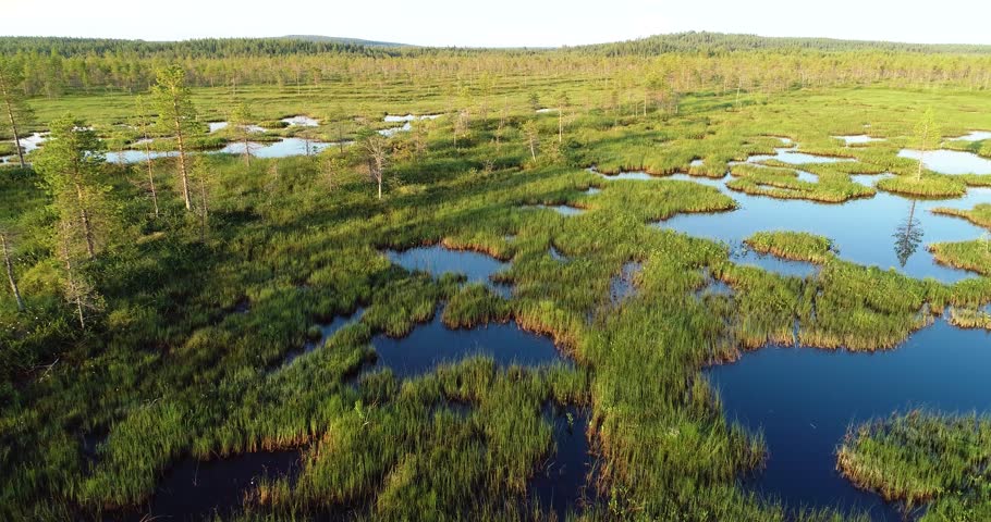 Slow movement through a summery wetland with bog ponds near Kemijärvi, Northern Finland Royalty-Free Stock Footage #1106364513