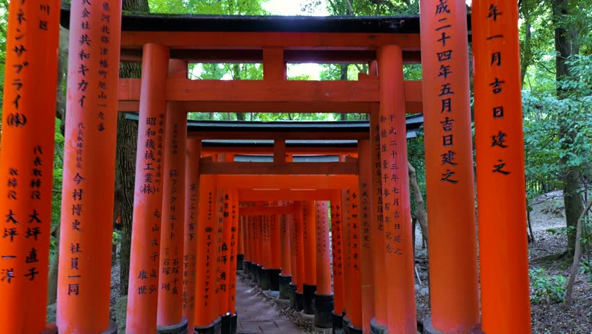 Kyoto Japan Fushimi Inari Red Torii Gates Shrine Walk Gimbal Steadicam Royalty-Free Stock Footage #1106366965
