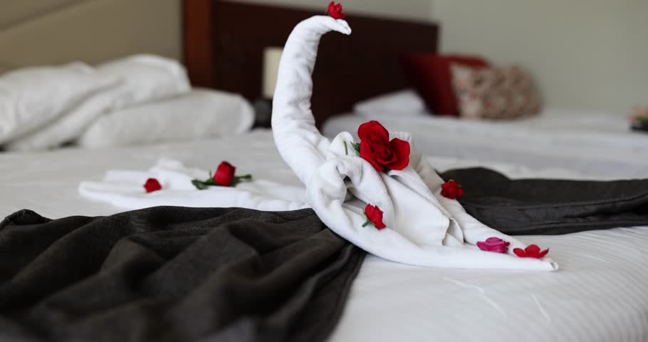 toma de toallas de habitación de hotel en forma de cisne, arte de toallas,  servicio de limpieza 15046815 Foto de stock en Vecteezy
