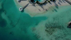 Aerial video of a drone flying over a picturesque beach with white sand and blue water, palm trees and sea waves.