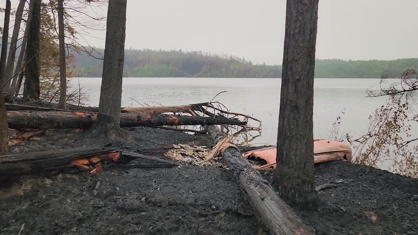approaching the lake shore with some trees are crumbled on the ground up to a shattered orange fiber glass canoe 