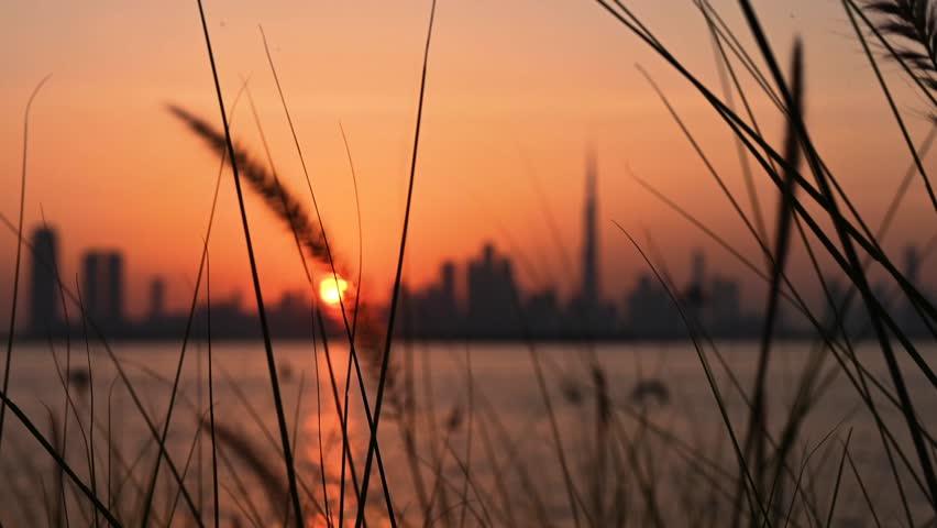 Magical sunset in Dubai. Tall skyscrapers, birds, creek, and nature. Shift focus video.  Royalty-Free Stock Footage #1106400761