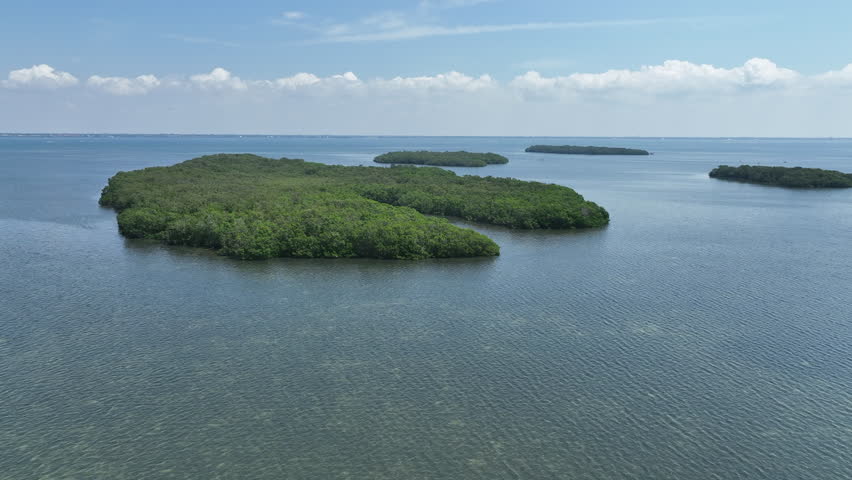 sarasota mangrove key with cove and surrounding islands