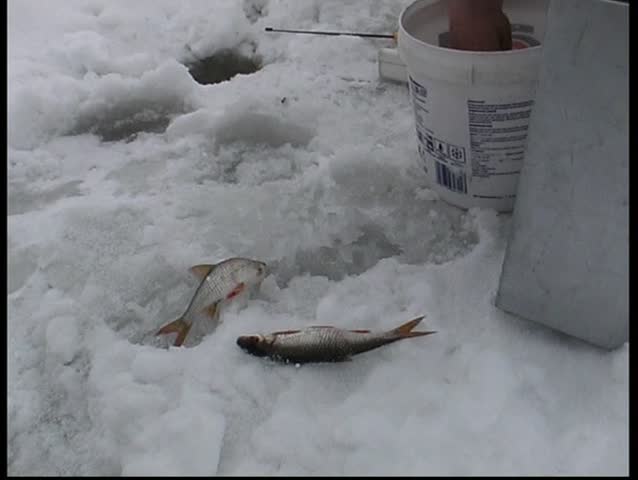 winter fishing