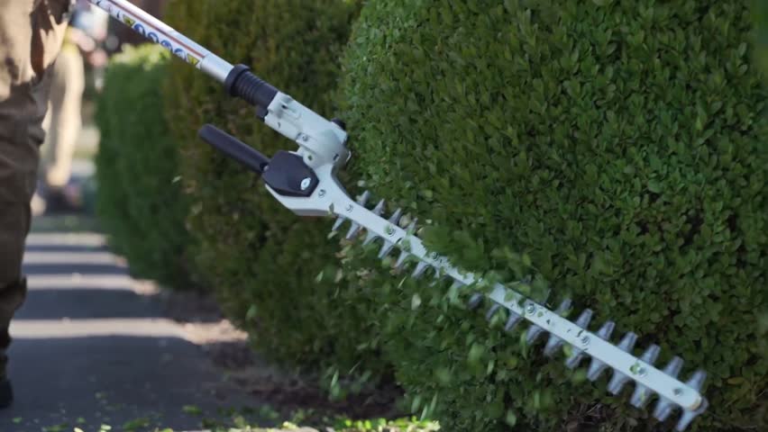 Worker Trimming a Bush with Hedge Trimmer Equipment - Slow Motion Royalty-Free Stock Footage #1106410023