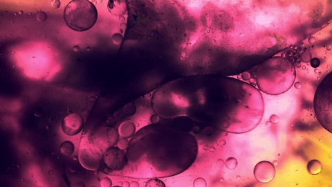 Oil Drops Floating On Water - Artistic Pink Oil Bubbles Moving วิดีโอสต็อก