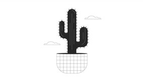 Cactus flower in clouds bw animation. Animated plant in pot 2D cartoon flat monochrome line object. Desert flower 4K video concept footage on white with alpha channel transparency for web design