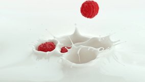 Raspberries Falling into Creamy Milk Making Splash in Macro and Slow Motion 1000 fps - Powered by Shutterstock - Get 15% off with code: PIKWIZARD15