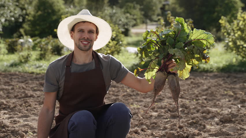 Portrait of successful happy middle aged farmer with bunch of fresh beets in hands, slow motion. European man in hat with vegetables smiling at camera on sunny day on farm plot, medium shot. Royalty-Free Stock Footage #1106419319