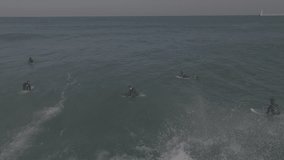 Korea winter surfing Pohang beach drone video