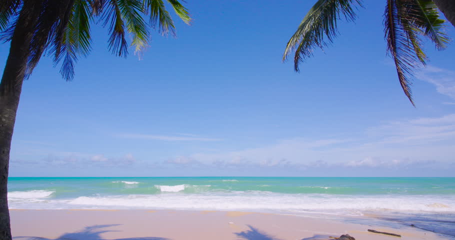 beach nature video sandy beach and coconut trees beach travel phuket thailand