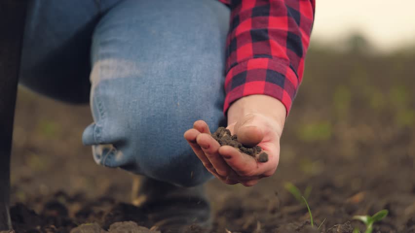 farmer working in tablet, hand holding earth soil soil, agriculture business, sprout green field farm, checking field farming soil sunset handful worker touching sunlight twigs nature quality side Royalty-Free Stock Footage #1106485741