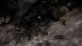 Close up Macro Shot Slow Motion Of Lots Ants Around Nest Hole In Ground