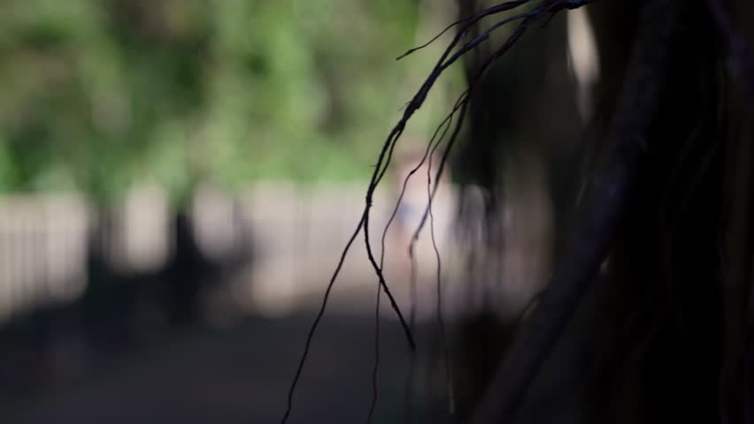 Young asian female woman at the city park working out, exercizing, streching, relaxing.