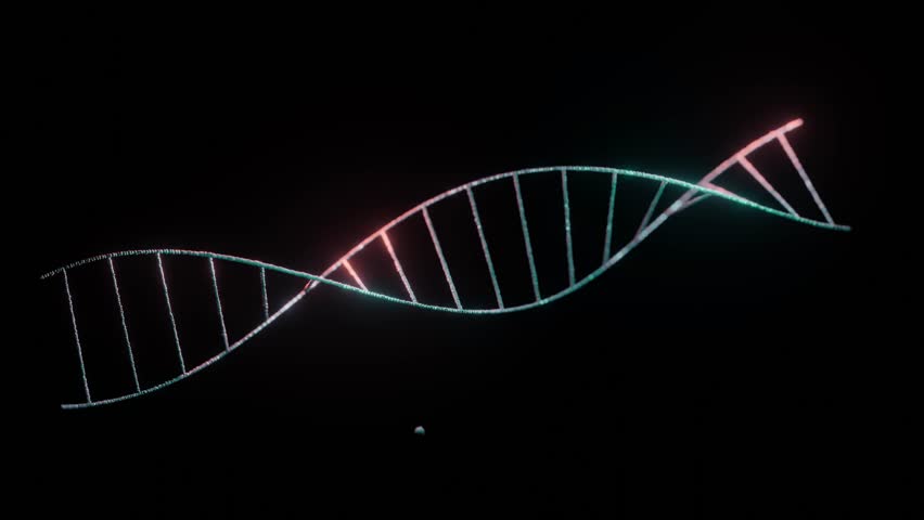 Abstract DNA on black background. Magenta and green DNA molecule. DNA molecules in chromosomes. science, biology. Conceptual design of genetic information for science animation. 3d render 4k - Powered by Shutterstock - Get 15% off with code: PIKWIZARD15
