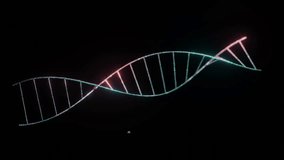 Abstract DNA on black background. Magenta and green DNA molecule. DNA molecules in chromosomes. science, biology. Conceptual design of genetic information for science animation. 3d render 4k - Powered by Shutterstock - Get 15% off with code: PIKWIZARD15