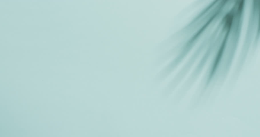 Animation of shadow of palm tree leaf moving with copy space over blue background. Nature and movement concept digitally generated video.