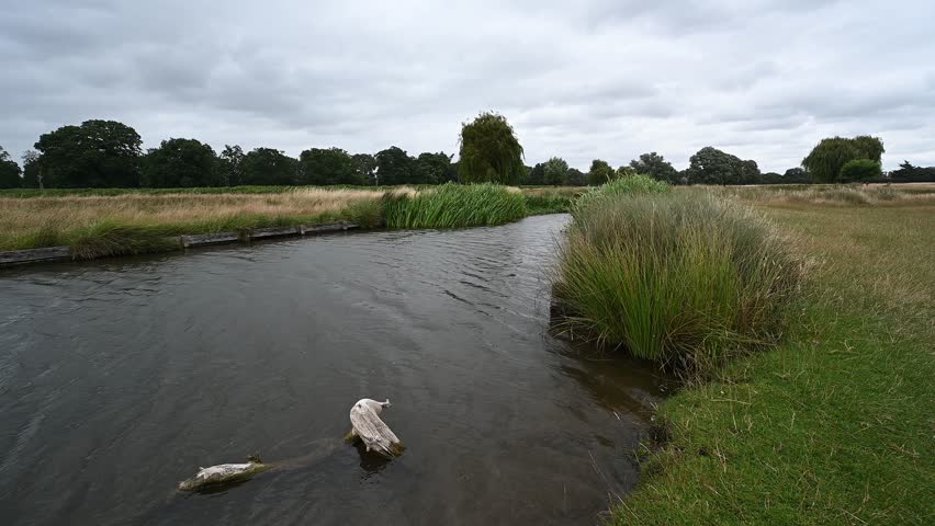Stream with a little drizzle of rain