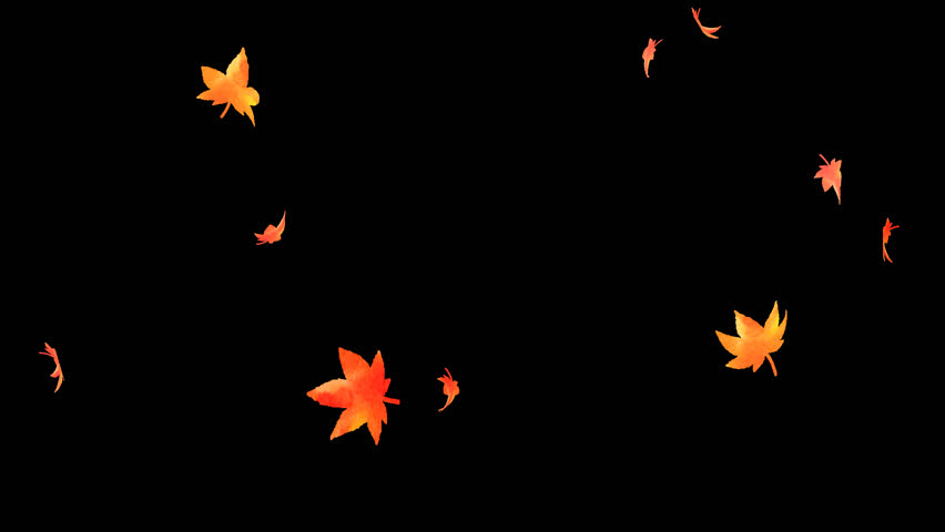 autumn leaves. Large and small leaves scatter. animation material. Royalty-Free Stock Footage #1106503939