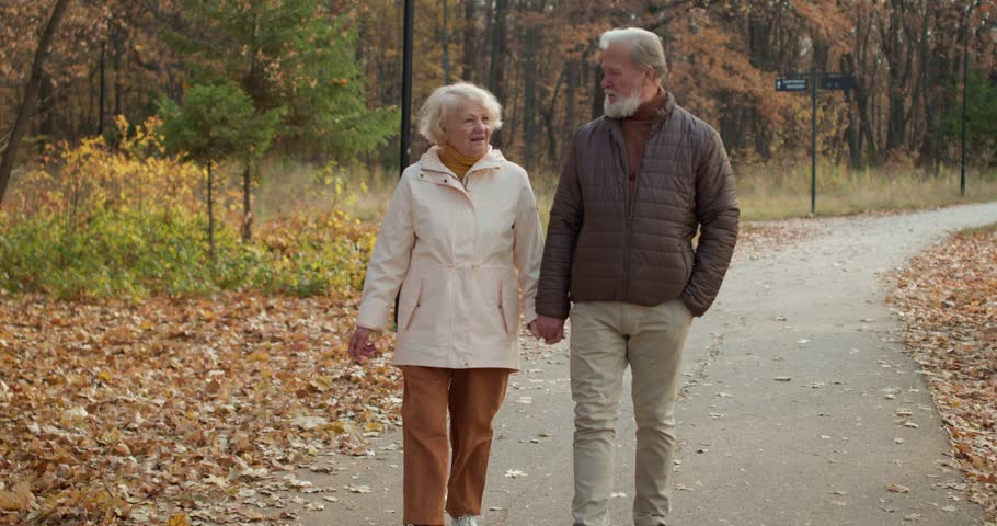 Caucasian old happy couple walking together in the beautiful park in autumn and holding each other at hand. Slow motion. old people have a date, stroll in the forest Lifestyle Love Relationship Royalty-Free Stock Footage #1106511271