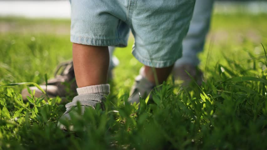 First steps of child in nature.Child,with help of his father, takes his first steps in park.Happy kid with dad on grass in park. toddler takes first steps in nature on green grass.Happy family concept Royalty-Free Stock Footage #1106511527