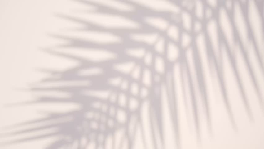 Transparent silhouette animated graphics of bamboo branches and leaves. Royalty-Free Stock Footage #1106513263