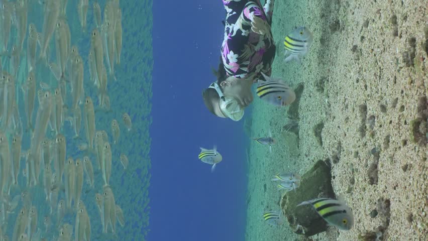 Vertical video, Girl freediver swimming under a large school of sprat and looks at fishes, Slow motion, Close up