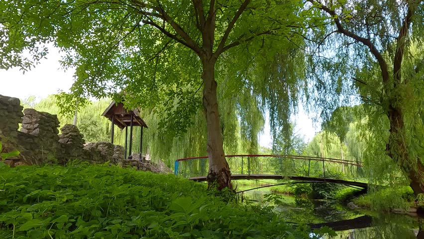 Fresh green view of Seret river. Calm morning scene of Topilche Park in Ternopil town, Ukraine, Europe. Beauty of nature concept background. 4K video (Ultra High Definition).