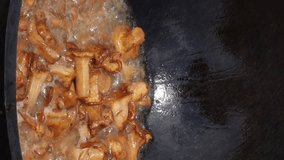 Chanterelles are boiled in vegetable oil. Prepared in a cauldron over an open fire. Close-up. vertical video.