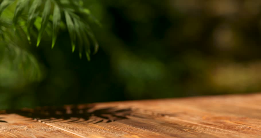 Mockup wooden table outdoor in summer, a branch of a palm tree in the wind