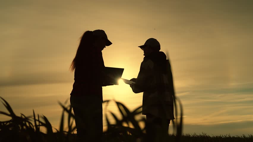 Two farmers are working in wheat field. Silhouette of business people outdoors. Agricultural industry using digital technologies. Agricultural business concept. Use of tablet computer in agribusiness Royalty-Free Stock Footage #1106527771
