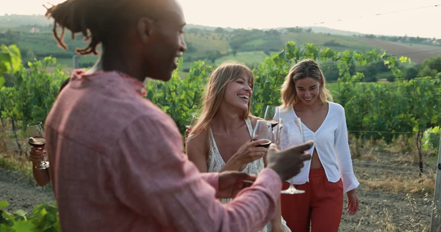 Multiracial people dancing at summer party inside vineyards - Adult friends having fun together drinking red wine  at coutryside resort - Travel, celebration and tasting event concept  Royalty-Free Stock Footage #1106532881