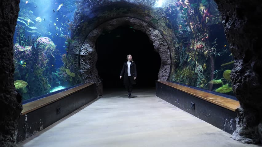 Young female walking in huge aquarium tunnel, enjoying a underwater sea inhabitants. world traveling concept. sealife. | Shutterstock HD Video #1106532989