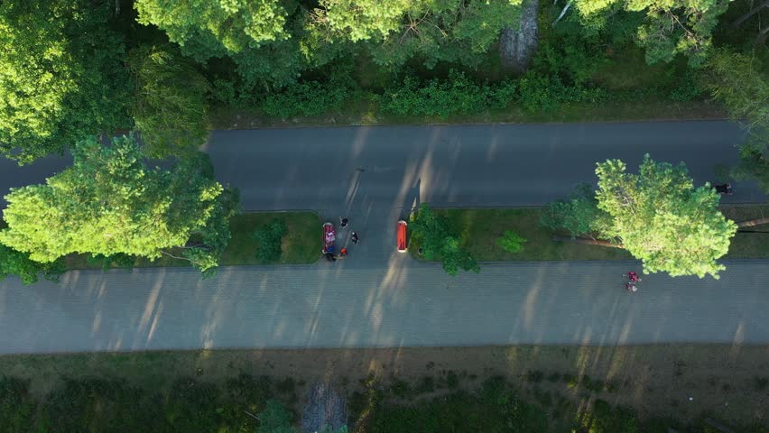 Promenade Through The Forest Bialogora Deptak Las Aerial View Poland